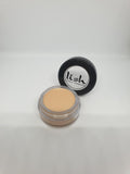 Lish Total Cover Up Concealer