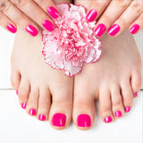 Lish Perfect Polish Kit